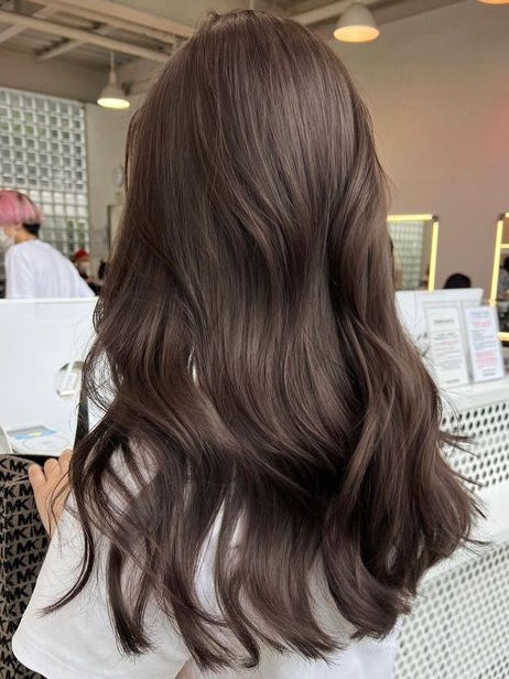 No-Bleach Hair Colour Ideas For Asian Dark Hair Ash Brown